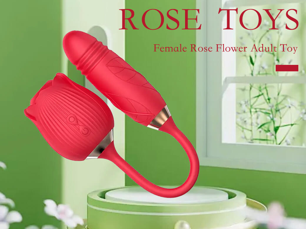 How a Rose Toy Works? – The Rose Toys