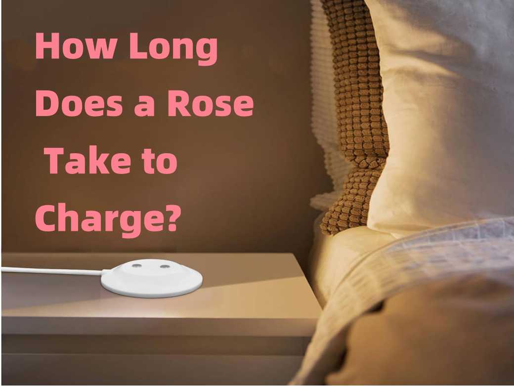 How Long Does a Rose Take to Charge? – The Rose Toys