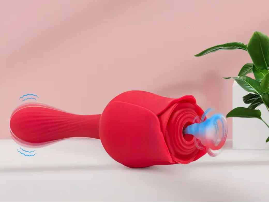 Which Rose Toy Is the Best? The Rose Toys Which Rose Toy Is the Best? The Rose Toys
