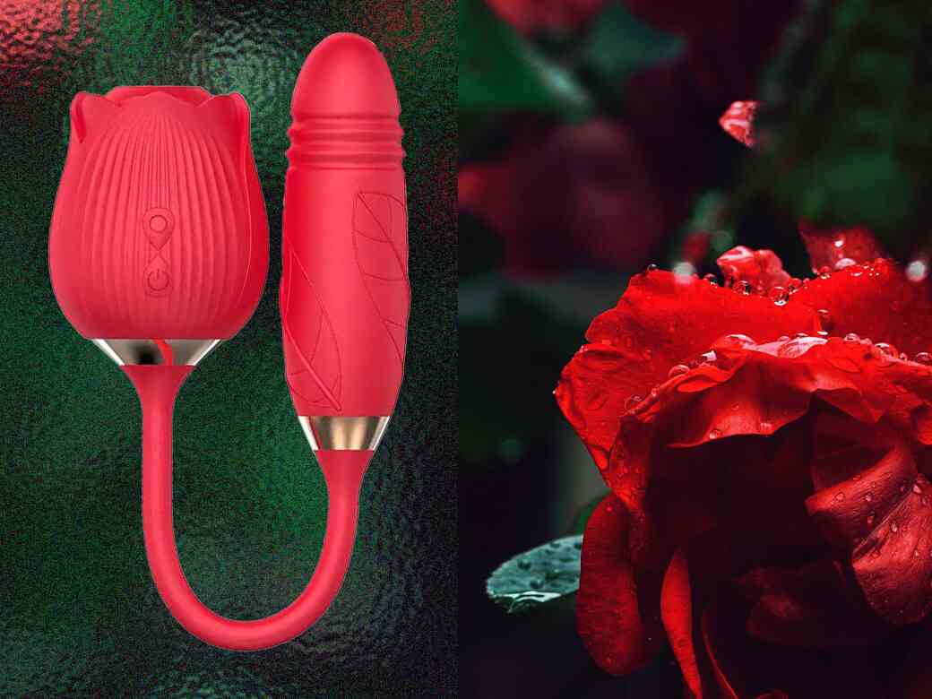 Best Rose Toys for Women - The Rose Toys