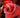 Is the Rose Toy Worth It? - The Rose Toys