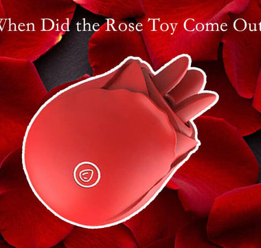 When Did the Rose Toy Come Out? - The Rose Toys