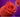 What Does a Rose Toy Look Like? - The Rose Toys
