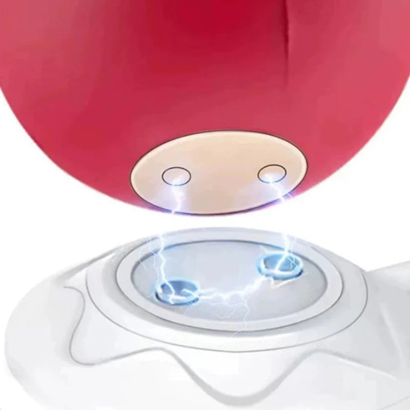 Fast Charging Magnetic Adapter USB Cable Rose Toy Charger - The Rose Toys